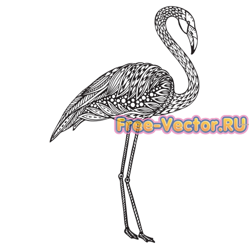 Фламинго вектор