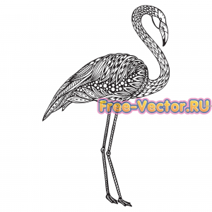 Фламинго вектор
