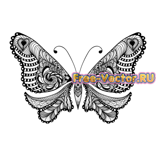 Бабочка векторная модель