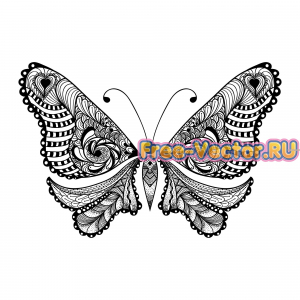 Бабочка векторная модель
