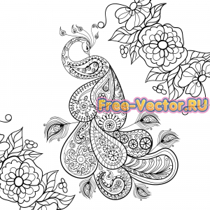 Жар птица вектор