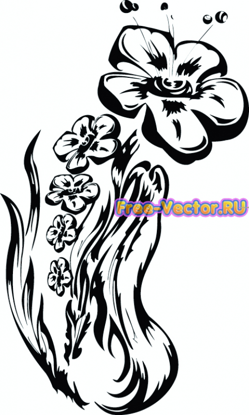 Цветок вектор cdr