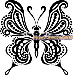 Бабочка вектор