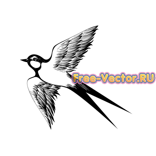 Ласточка вектор