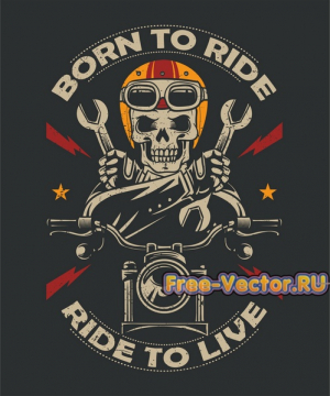 Плакат Born to ride
