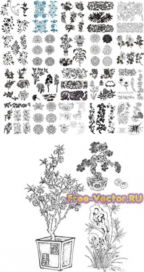 Растения и цветы вектор